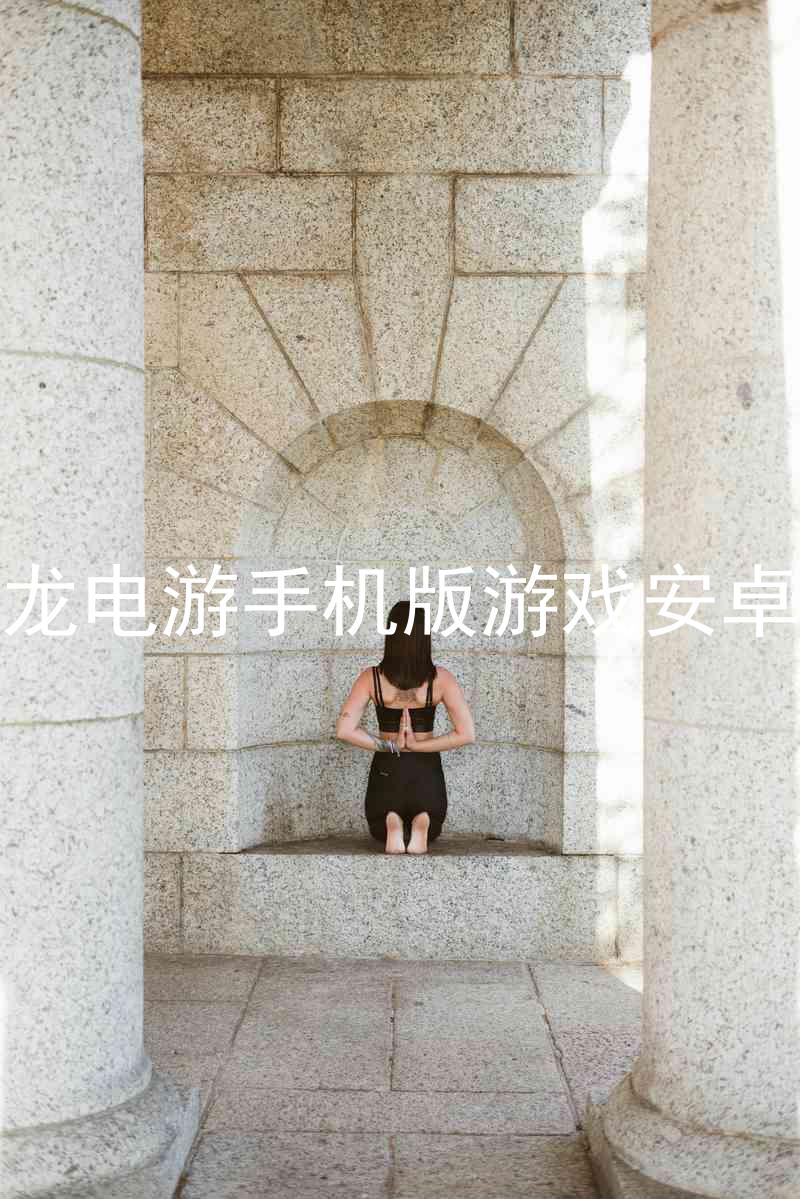 尊龙电游手机版游戏安卓版